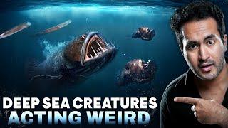 Why Deep Sea Creatures Act Weird?