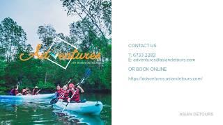 Ubin Bisect Kayaking