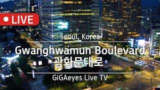 서울실시간 광화문대로 Live Cam I "Gwanghwamun Boulevard" , Seoul, Korea I 서울광화문 광화문광장 서울여행 서울라이브