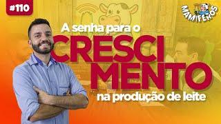 A SENHA PARA O CRESCIMENTO NA PRODUÇÃO DE LEITE