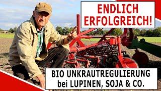 Erfolgreiche Unkrautregulierung bei Bio Lupinen, Soja, Erbsen und Ackerbohnen mit der Frühhacke!