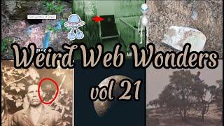 Weird Web Wonders  Unraveling the Internet's Oddities! VOL 21