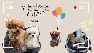 나리와 알콩달콩! 쉬는날에는 모하까?