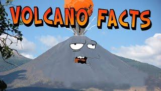 Volcano Facts!