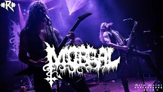 Morgal interview - black metal, speed, heavy metal and Satan