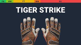 Specialist Gloves Tiger Strike - Skin Float And Wear Preview