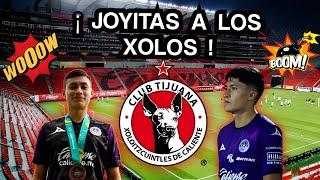 ¡ NUEVOS REFUERZOS DE LOS XOLOS DE TIJUANA !  RAMIRO ÁRCIGA Y RAMIRO FRANCO NUEVOS REFUERZOS XOLOS