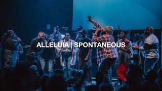 Alleluia | Spontaneous | 2819 Worship