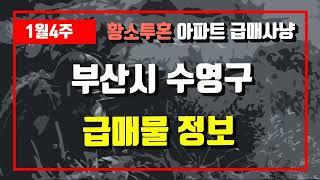 1월4주부산시 수영구 아파트 저렴한 매물정보아파트 시세,시장분석