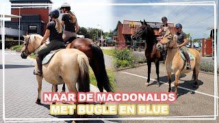 NAAR DE MACDONALDS MET BUGLE EN BLUE! || Paardzoektbaas