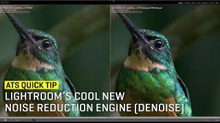 QuickTip: Lightroom’s Cool New Noise Reduction Engine (Denoise)