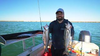 Our Approach To A Quick Coho Salmon Limit on Lake Michigan