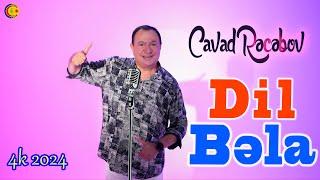 Cavad Recebov || Dil Bela || Official klip 2024 || 4k -