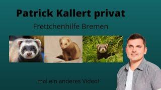 Frettchenhilfe Bremen// Patrick Kallert mal anders...