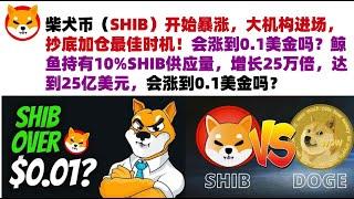 柴犬币（SHIB）开始暴涨，大机构进场，抄底加仓最佳时机！会涨到0.1美金吗？鲸鱼持有10%SHIB供应量，增长25万倍，达到25亿美元会涨到0.1美金吗？#shib币#柴犬币#屎币行情分析