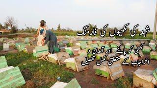 Honeybee Farming |شہد کی مکھیوں کی فارمنگ  کی مکمل تفصیل  | Process of Harvesting Honey in Farm