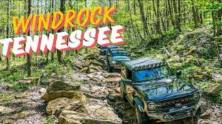 Conquering Mud Ruts And Water Crossings: Ford Broncos Vs Windrock Park Tennessee