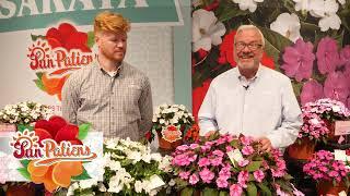 SunPatiens® Overview with the Experts!