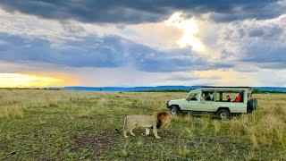 African safari with Wild Wings Safaris