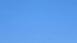 20101228 RedTailedHawkFlyingOverhead