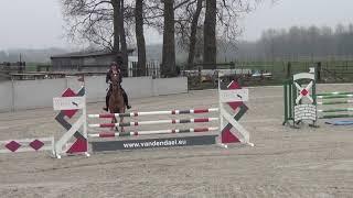 Lara Lou & Belissima @Mivaro oefenjumping 110 23-3-19