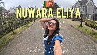 Nuwara Eliya | Little England | Day Tour | Namsate Srilanka Ep. 3