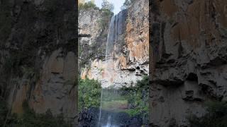 Gold Coast Australia | Hinterland Hike | Purling Brook Falls. Absolutely incredible