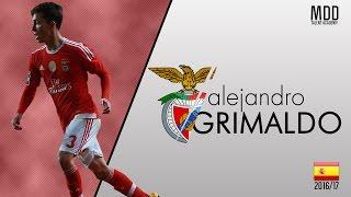 Alejandro Grimaldo | Benfica | Goals, Skills, Assists | 2016/17 - HD