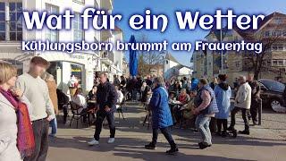 Wat für ein Wetter - Kühlungsborn brummt am Frauentag