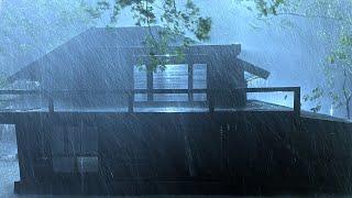 Dispel Worries to Deep Sleep with Sweeping Rain, Dense Wind & Thunder on Fragile Tin Roof at Night