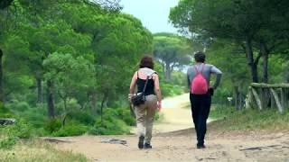 PARQUES NATURALES DE LA PROVINCIA DE CÁDIZ.