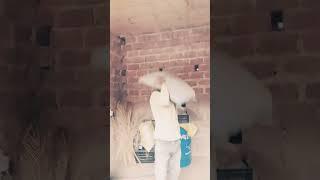 hard work