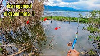 TEPAT DUGAANKU‼️ IKAN SUDAH NGUMPUL DI DEPAN MATA || mancing ikan nila di waduk selorejo ngantang