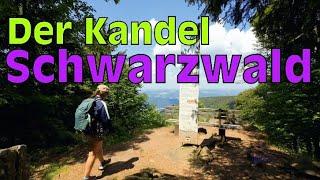 Der Kandel (Schwarzwald/Black Forest Germany ️) Natur pur- Ein Berg zum Verlieben!