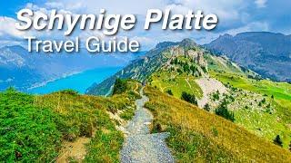 Schynige Platte - Heaven on earth above Interlaken!  Travel Guide