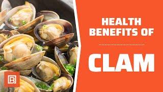 Health benefits of Clam: A great seafood to include in your diet!