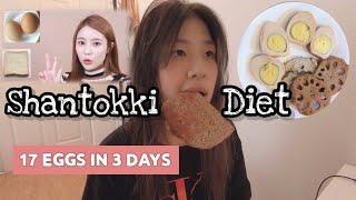 I TRIED THE SHANTOKKI DIET // 17 eggs for 3 days...