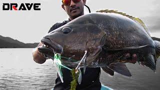 DRAVE ONE-R Series 2018 | How To Use Spinnerbait