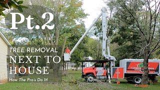 Tree Removal Near House: How the Professionals Safely Bring Down a Big Tree. Timber Source-Part 2