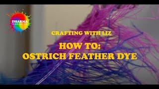 Ostrich Feather Ombre Dye  | Crafting With Liz | Ep.1