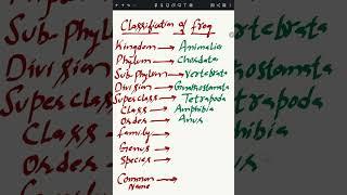 Taxonomic Classification of Frog