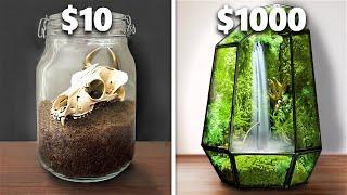 $10 vs $1,000 Terrarium Ecosystem!