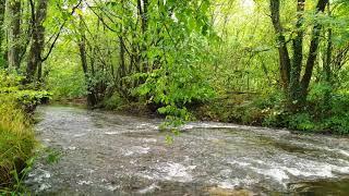 Promenade de l'Eau Noire à Couvin