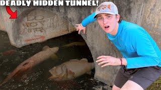 I Saved Fish From a DEADLY Hidden Tunnel!