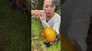 Beautiful Nature - Inspur Fresh Fruit wonderful video of  Industry #0164