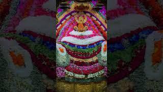 #shyam #khatushyambhajansanjaymittal #sanjaymittalbhajn #bhajleshyam #khatushyam #navratanpareek