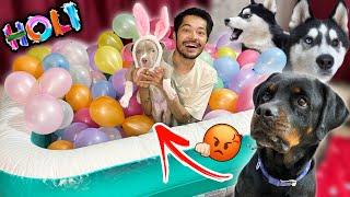 Pitbull vs Rottweiler The Real King of Holi?dog can talk 292 | Husky | Review reloaded