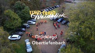 Drückjagd in Obertiefenbach 2022 - PareyGo Classics