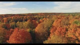 1000 Acres in Northern Michigan: 5 Houses, 7 Lakes and 10 Hunting Blinds