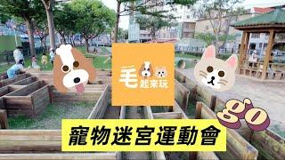 「毛起來玩樂」paws play 汪星人運動會- 迷宮挑戰